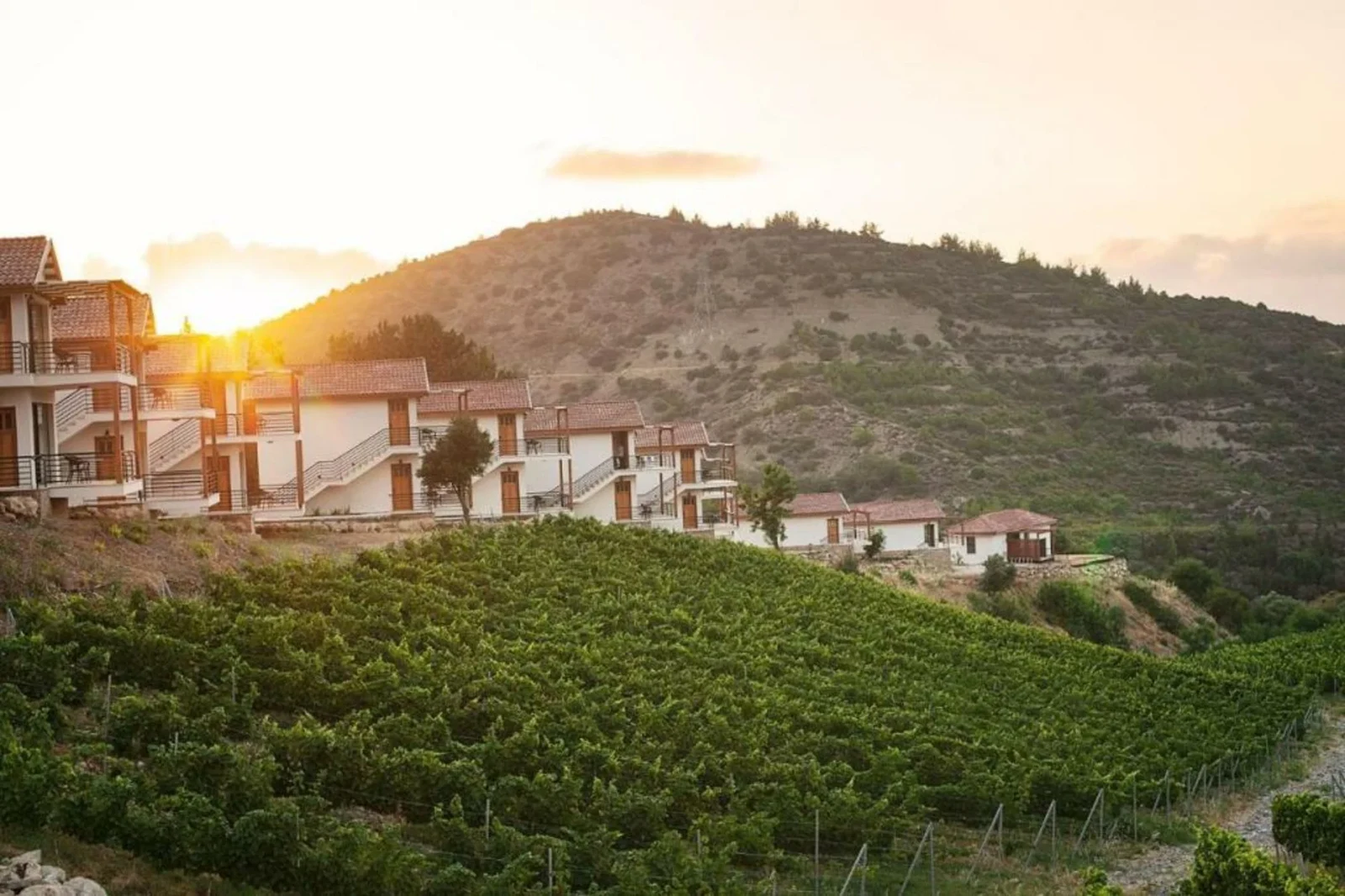 Gillham Vineyard Hotel Ilgaz Bağ Evi ve Butik Otel Rehberi