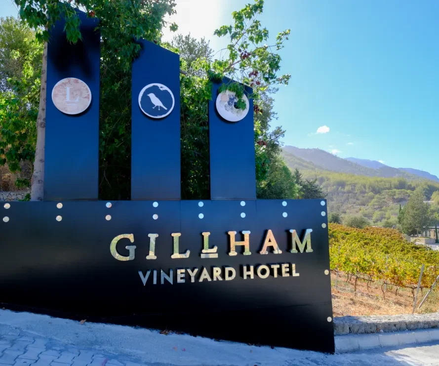 Gillham Vineyard Hotel Konaklama ve Genel Görünüm