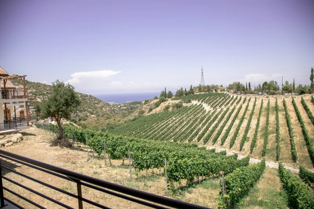 Gillham Vineyard Hotel Tesis İçi ve Dinlenme Alanları