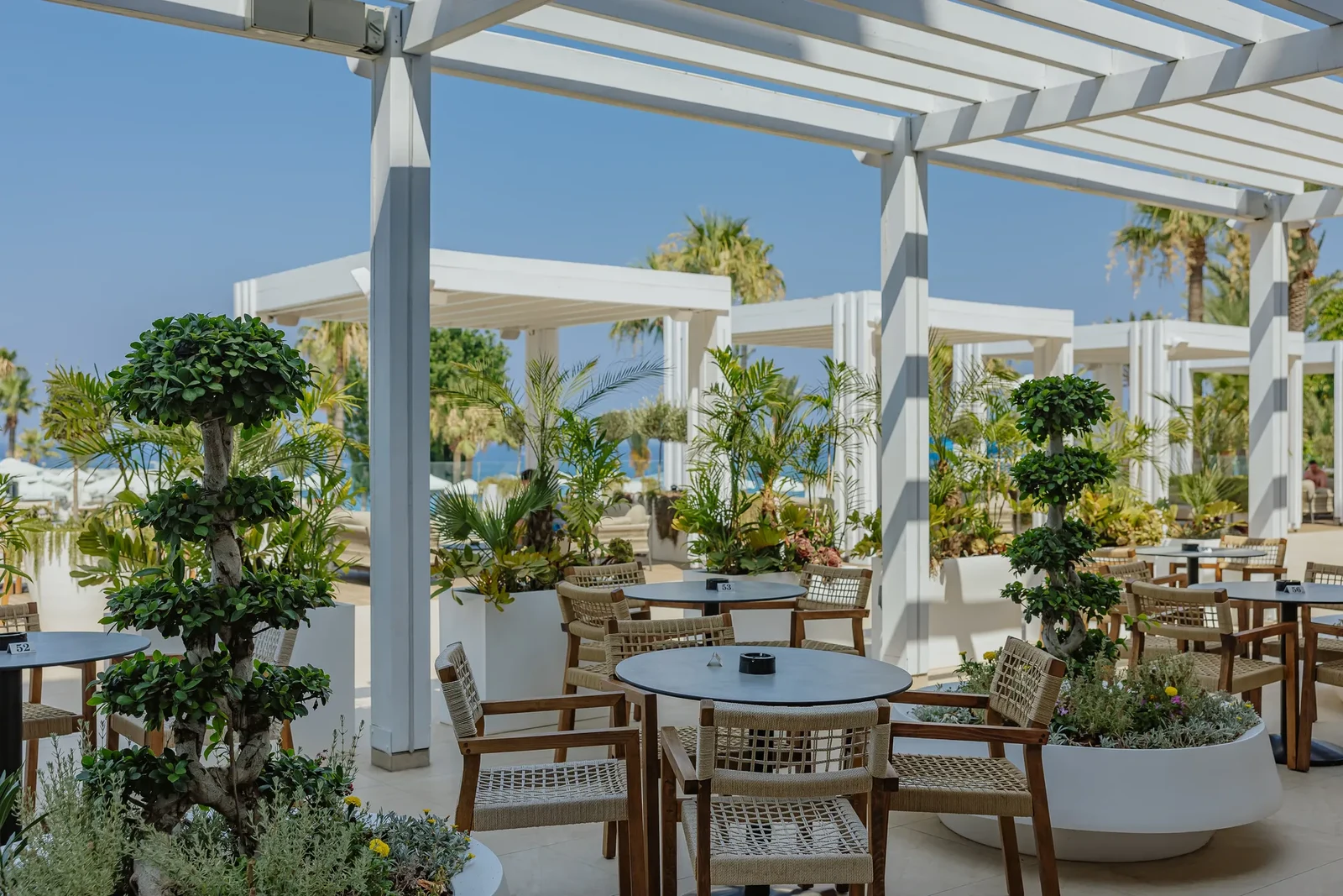 Girne Canlı Müzikli Oteller Tesis Mimarisi ve Genel Atmosfer
