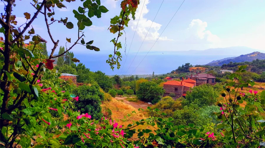 Girne Kayalar Köyü Gizli Deniz Koyu ve Kayalıklar İç Görsel 2