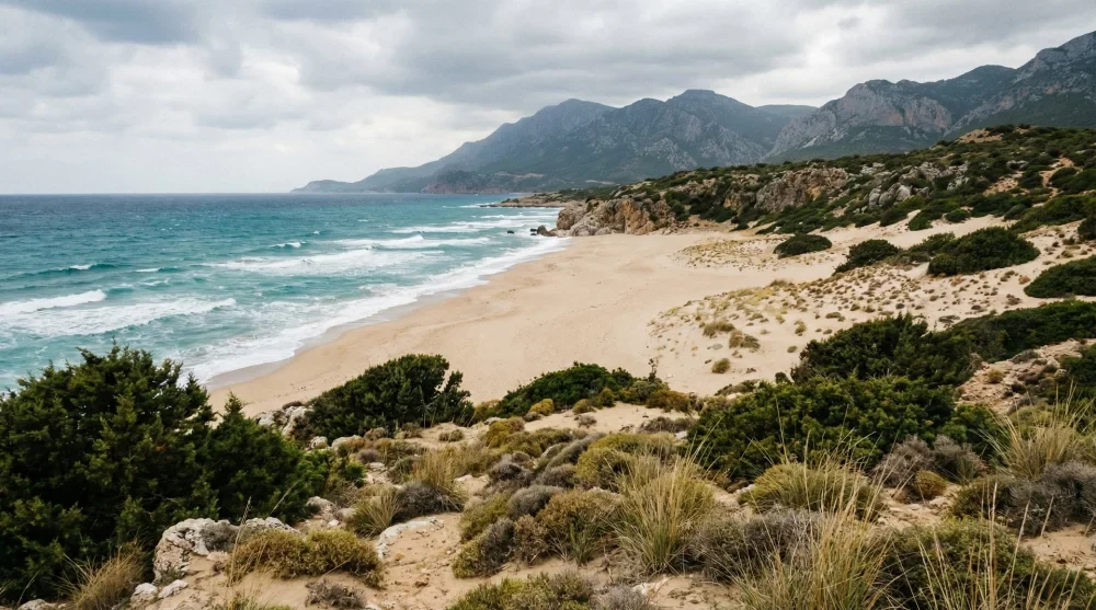 Girne Tatlısu Kaplıca Koyu ve Doğal Kumsal İç Görsel 2