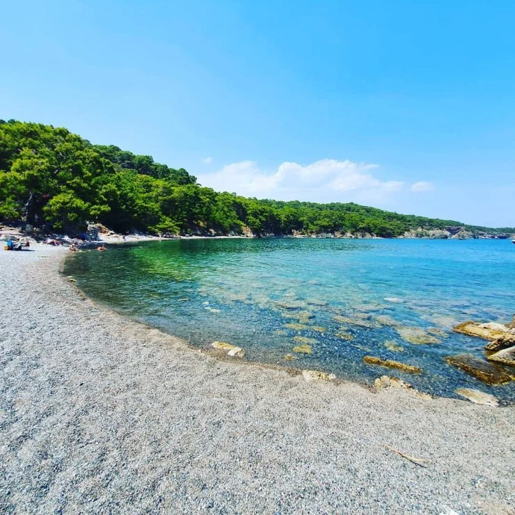Güzelyurt Akdeniz Köyü Plajı ve Kaplumbağa Sahili İç Görsel 2