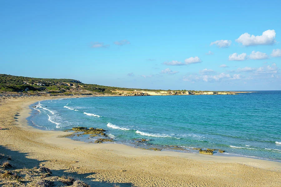Karpaz Dipkarpaz Halk Plajı ve Deniz İpuçları İç Görsel 1