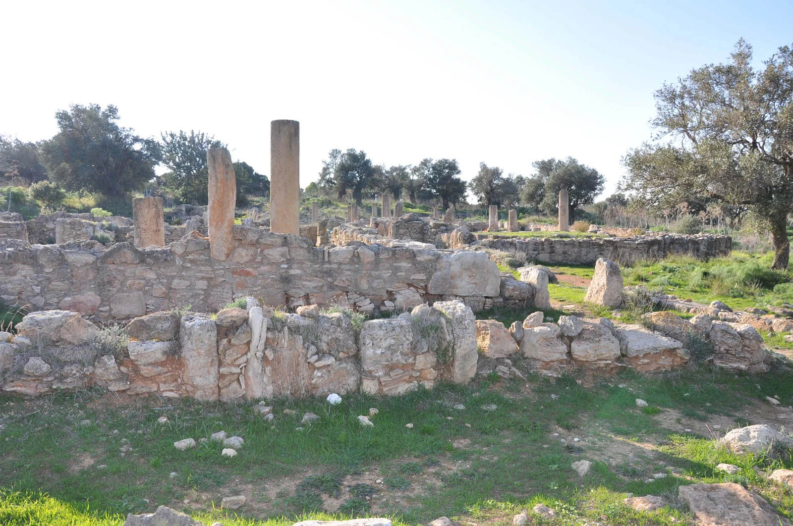 Karpaz Sipahi Köyü Ayios Trias Bazilikası ve Mozaikleri İç Görsel 2