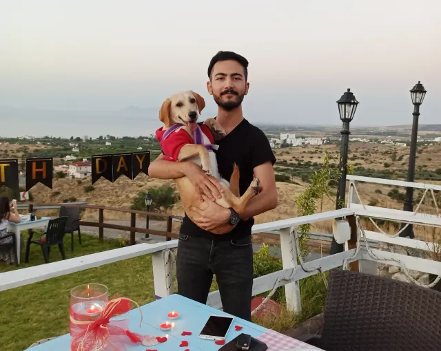 Kıbrıs’ta Evcil Hayvan Kabul Eden Otel Nasıl Seçilir?