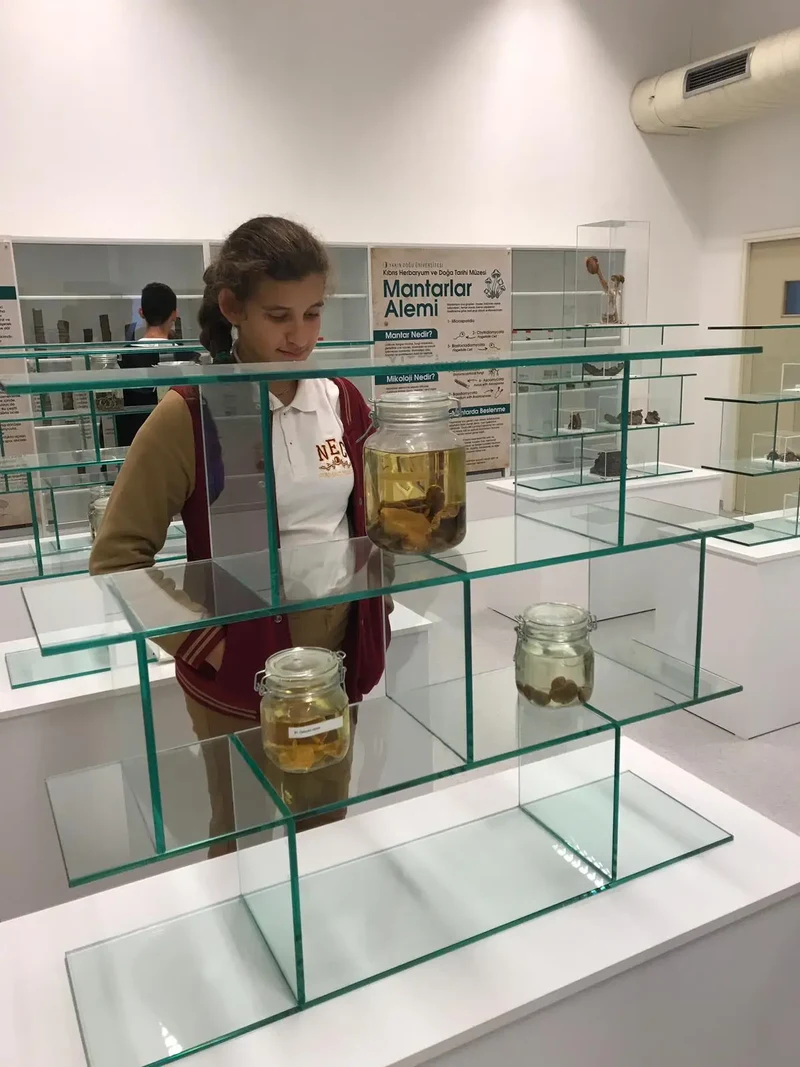 Kıbrıs Herbarium (Endemik Bitki ve Çiçek Müzesi) Alevkayası İç Görsel 2