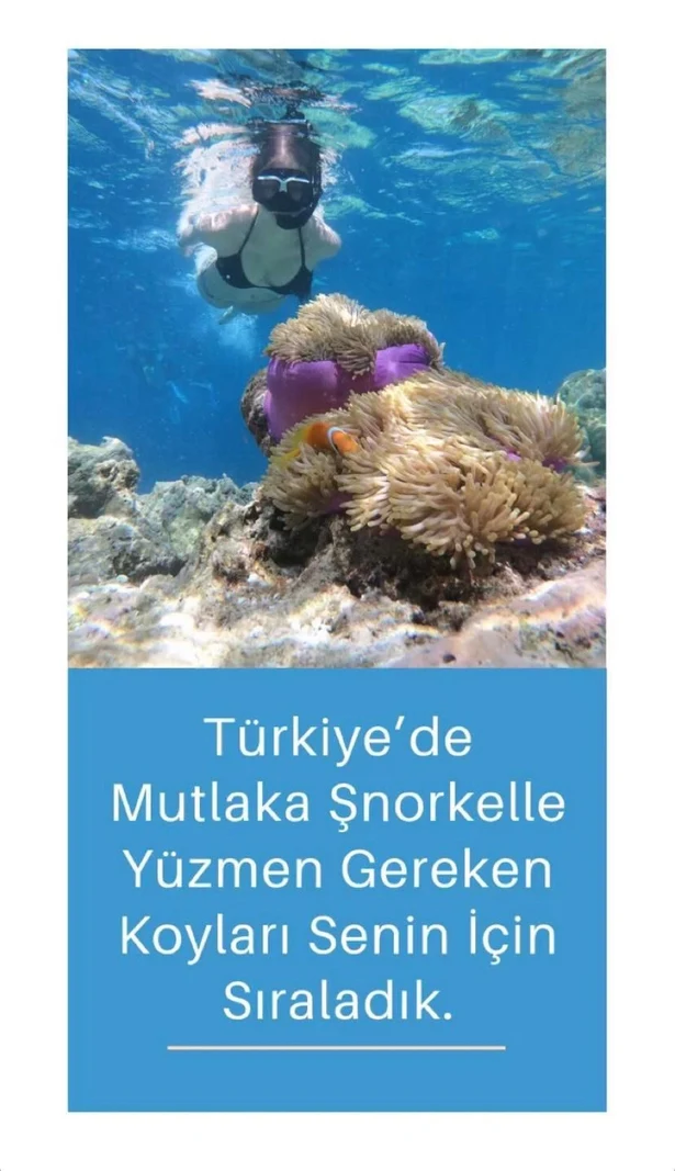Kıbrıs Şnorkelle Dalış (Snorkeling) İçin En İyi 7 Koy İç Görsel 2