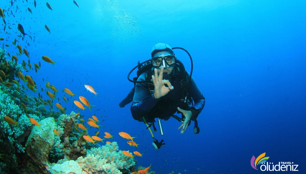 Kıbrıs Tüplü Dalış (Scuba Diving) ve Zenobia Batığı Turu İç Görsel 1