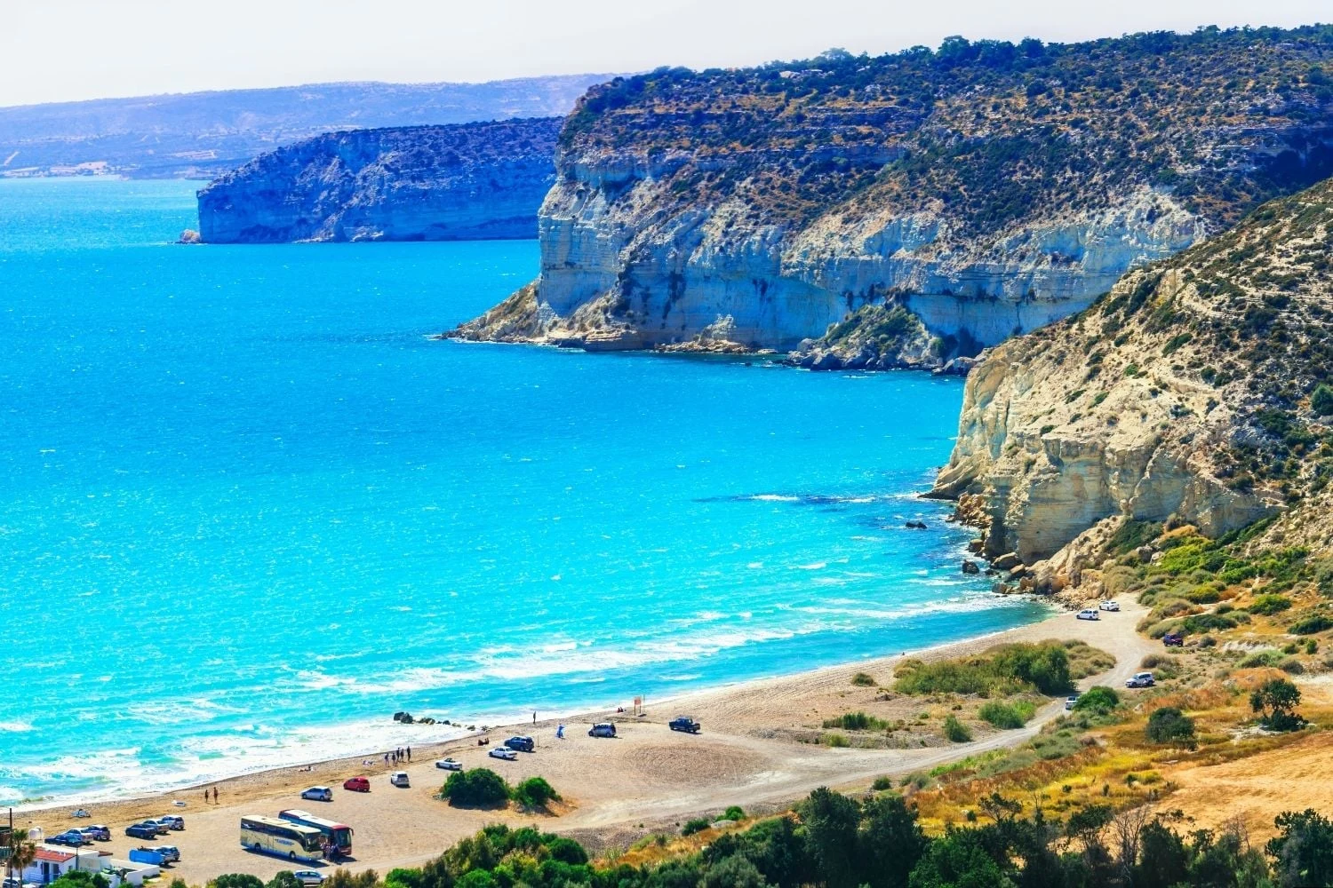 Kıbrıs'ta Deniz Anası ve Deniz Kestanesi Riski Var mı? (Plaj Güvenliği) İç Görsel 1