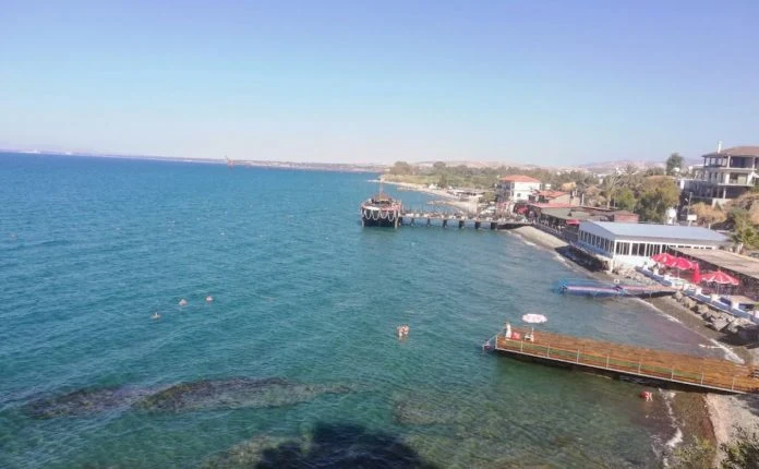 Kıbrıs'ta Deniz Anası ve Deniz Kestanesi Riski Var mı? (Plaj Güvenliği)