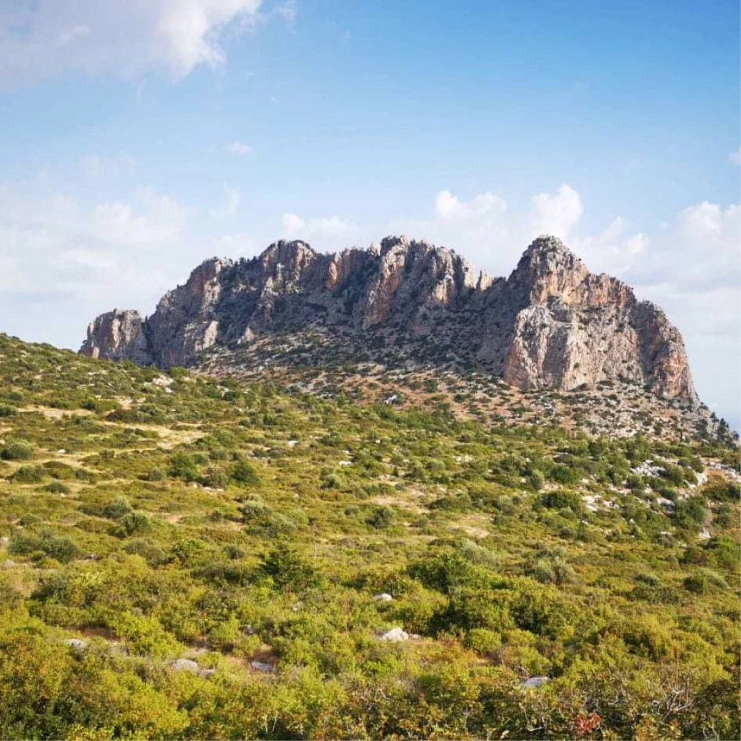 Beşparmak Dağları ve Çam Ormanları Panoraması
