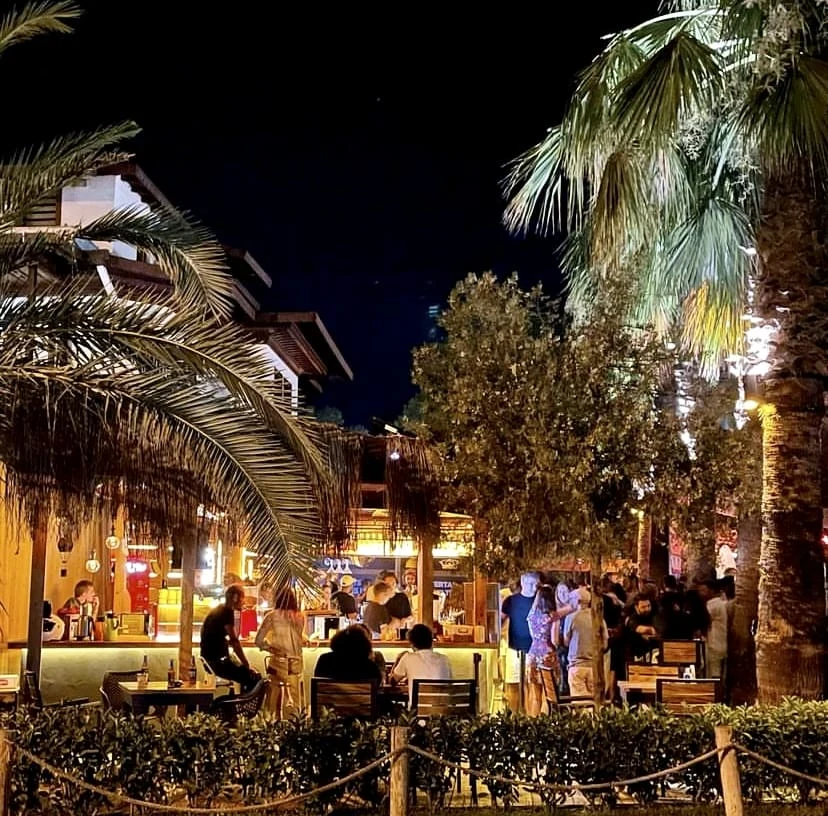 Lefkoşa Taşkınköy ve Gönyeli Gece Mekanları Rehberi - Mekan ve Gece Görseli