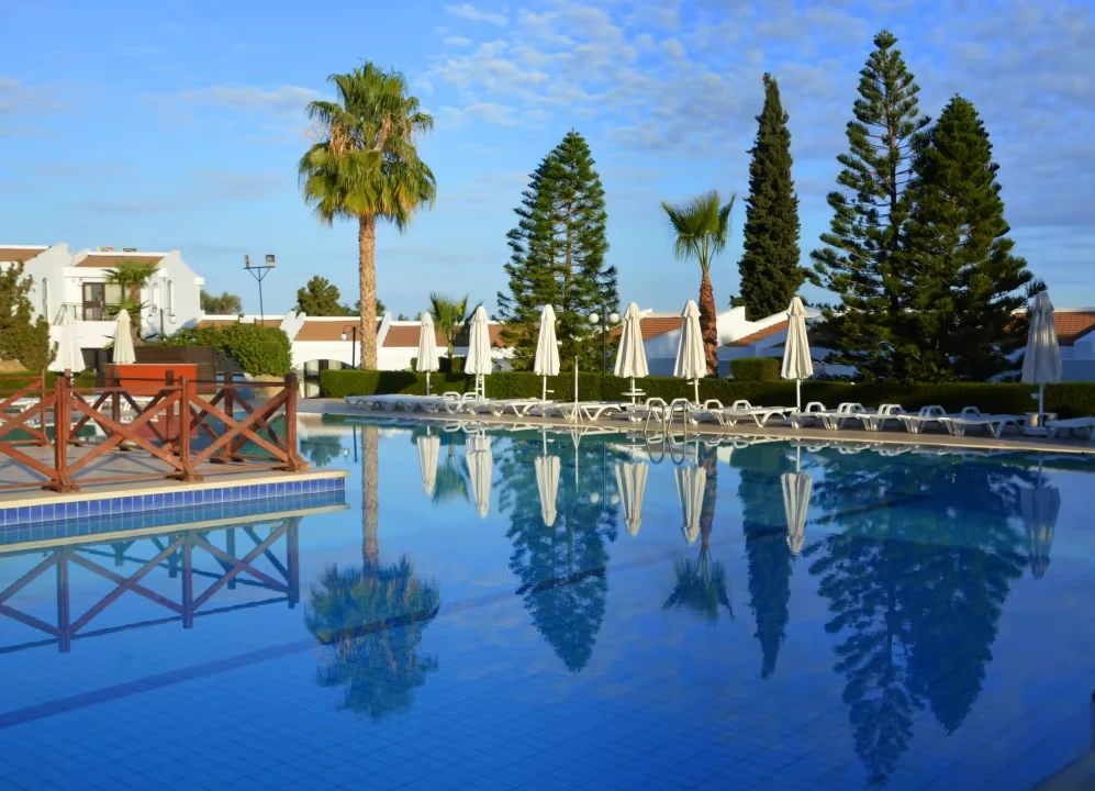 Olive Tree Hotel İç Mekan