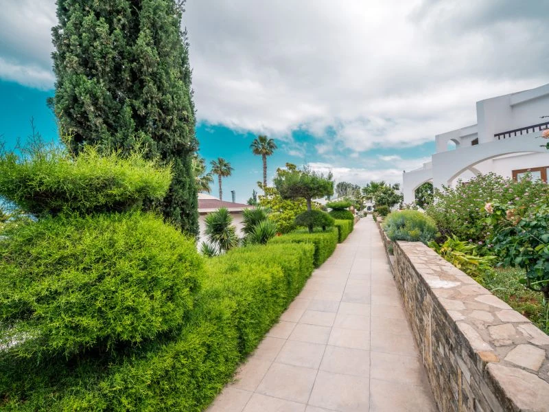 Olive Tree Hotel Havuz ve Sahil