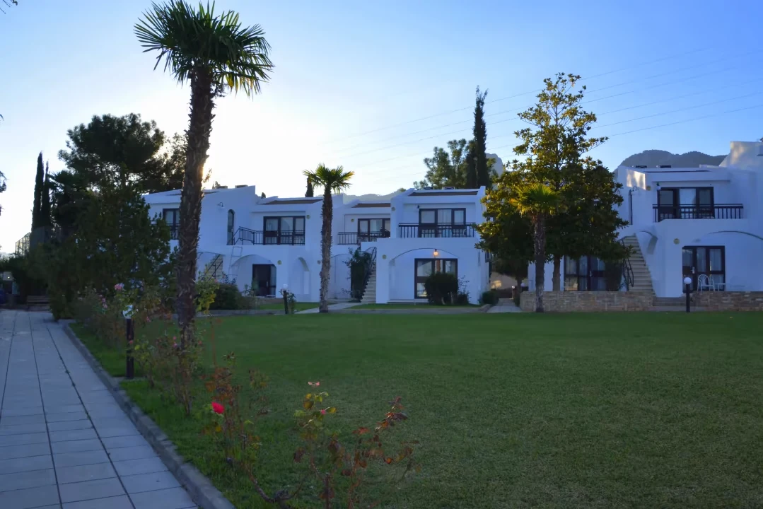 Olive Tree Hotel Tesis İçi ve Dinlenme Alanları