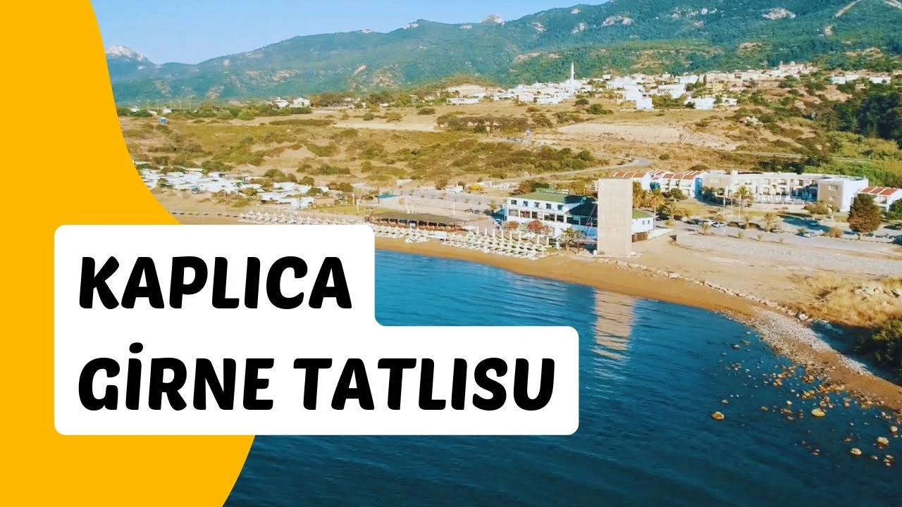 Tatlısu Harnup Festivali: Geleneksel Pekmez Yapımı ve Halk Dansları